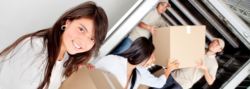 Professional Removalists Carpendale